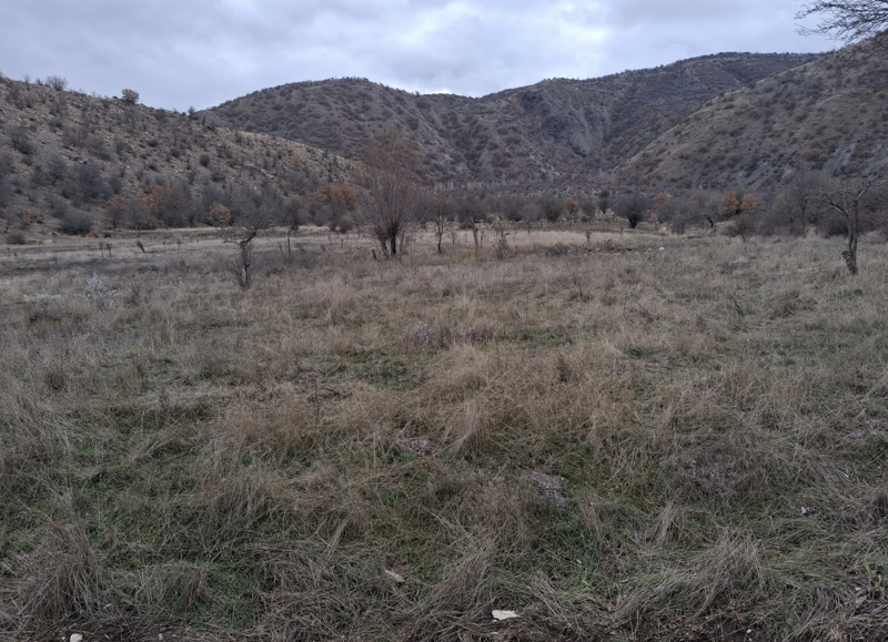 ÇANKIRI ILGAZ'DA 677 M2 SATILIK HİSSELİ TARLA